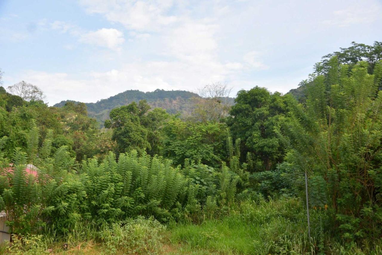 Wingate Hotel Wilgamuwa Wasgamuwa エクステリア 写真